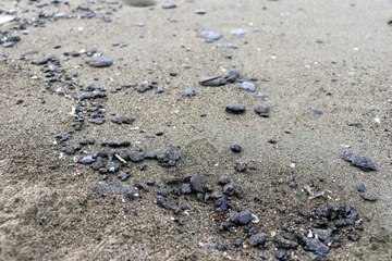 Hatay açıklarında Suriye kaynaklı petrol sızıntısına ilişkin temizlik çalışmaları sürüyor