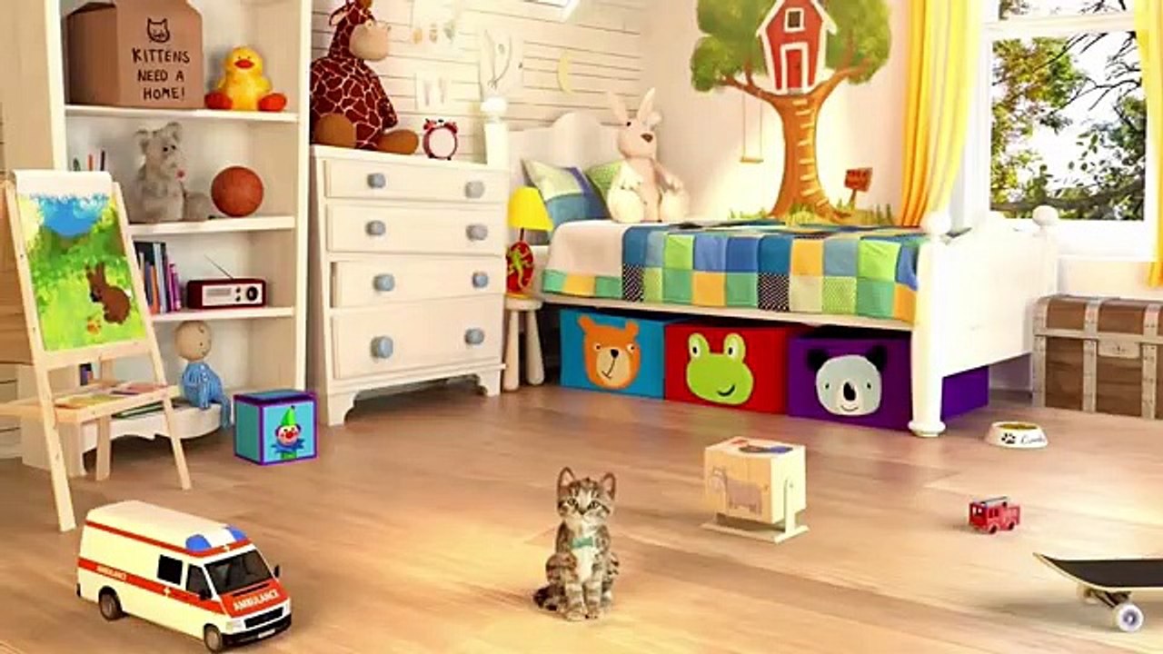 El GATO En La VIDA REAL, Little Kitten My Favorite Cat, Lindo Gatito