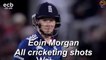Eoin Morgan - Top Cricketing shots- All Types of Batting Shots in Cricket