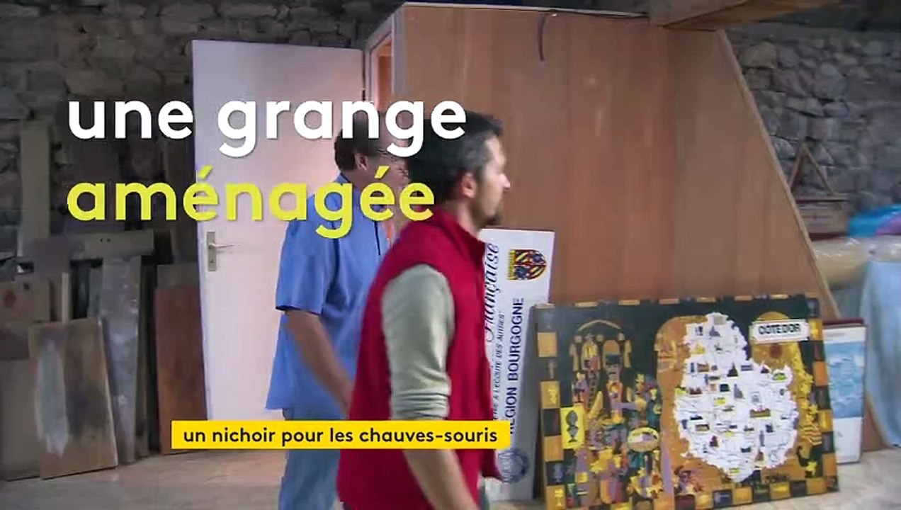 En Côte-d'Or, un particulier aménage sa grange en gîte pour chauves-souris