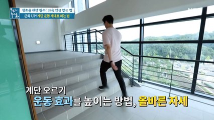 근육 UP! 계단 운동 제대로 하는 법