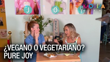 ¿Vegano o vegetariano? Te contamos donde puedes comer - La Movida Miami