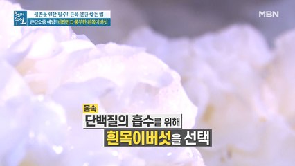 근감소증 예방! 비타민D 풍부한 '흰목이버섯'