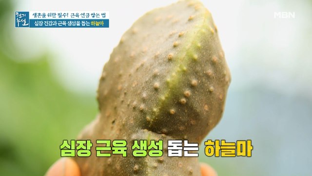 심장 건강과 근육 생성 돕는 '하늘마'