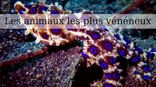 Les animaux les plus vénéneux