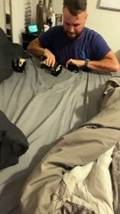 Cute but Stinky Baby Skunks