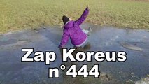 Zap Koreus n°444