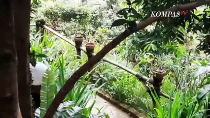 Tanggapi Somasi Sentul City, Rocky Gerung: Arogansi dari Pengembang Besar