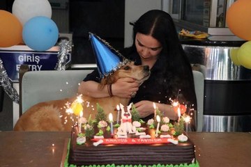 SAHİPLENİLEN SOKAK KÖPEĞİ 'KAKTÜS' İÇİN DOĞUM GÜNÜ PARTİSİ