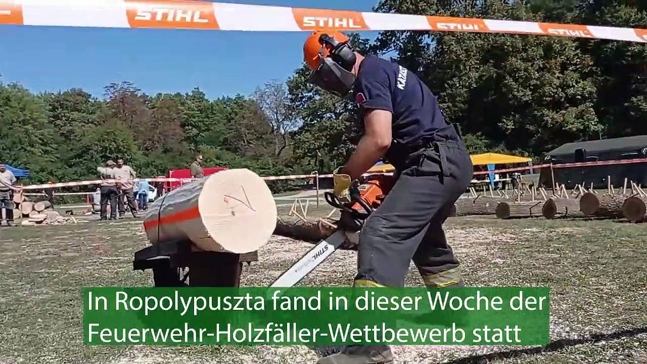 Feuerwehren sägten um die wette