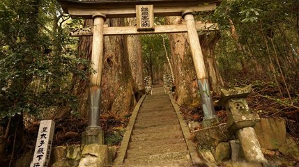 ONA  A Mystical Art Experience - Tráiler de presentación