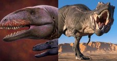 Découverte en Ouzbékistan d'un dinosaure prédateur, bien plus redoutable encore que les T-Rex