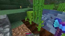 HUGE MELON BONEMEAL FARM - Minecraft Survival Time-lapse _