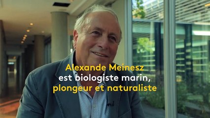 Écologie : la biodiversité marine est-elle en danger ?