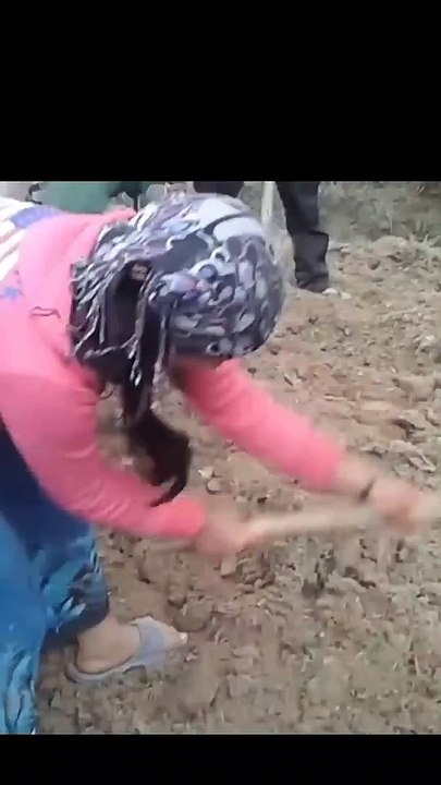 Agriculture in Nepal _ Featuring the Ruby Valley Village Of Nepal, Dhading _@lis_HD