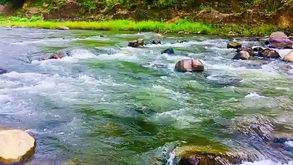Nature Relaxation - Mountain River Water Sound for relaxation _ Stream Water Sound