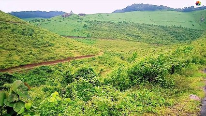 Kerala's Village Beauty-Thakarappura@Aryankavu | Hidden Beauty