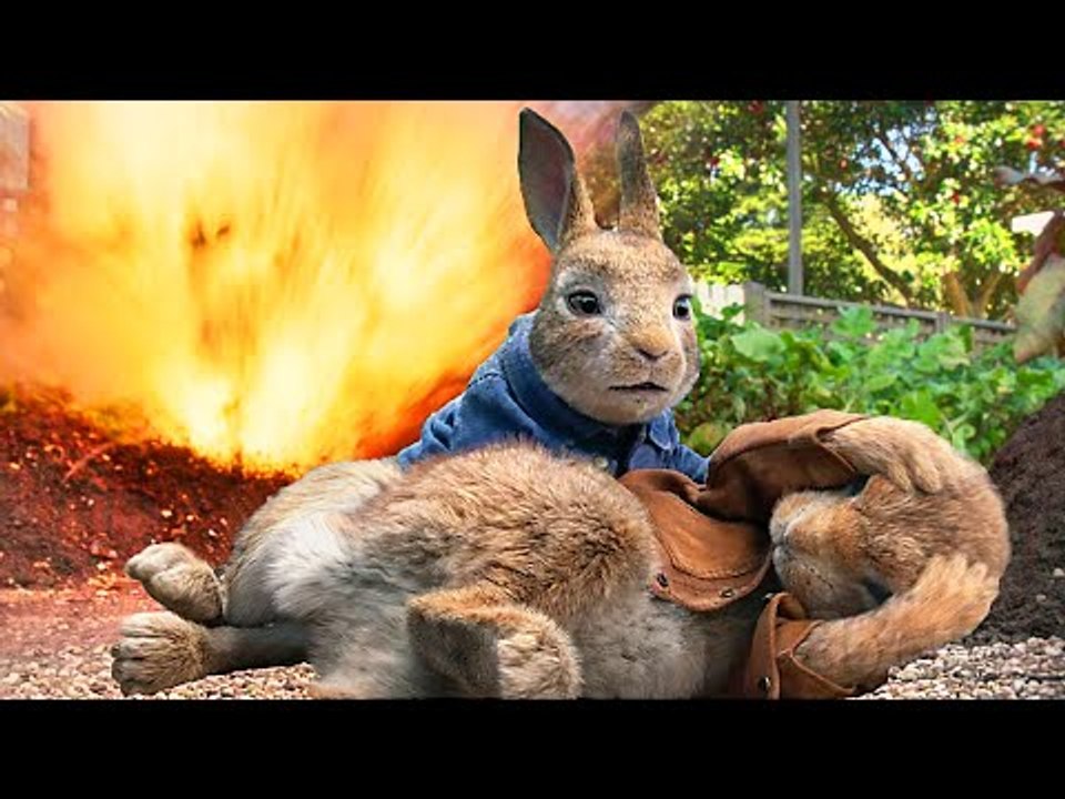 Explosifs chez les lapins | Pierre Lapin | Extr...