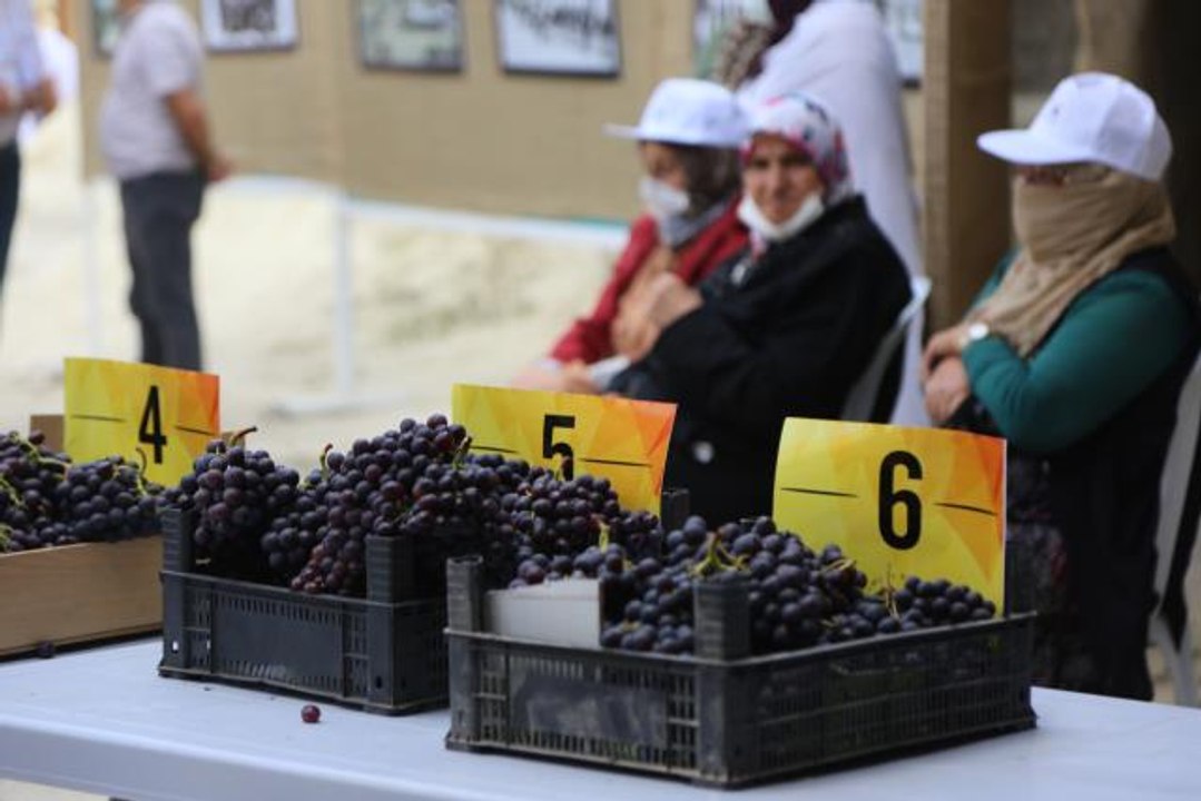 Ürgüp'te "49. Uluslararası Ürgüp Bağ Bozumu ve Balon Festivali" başladı