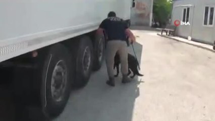 İstanbul merkezli uyuşturucu operasyonlarında yakalanan 16 şüpheliden 14'ü tutuklandı