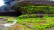 shooting seaside reef geological weathered rocks