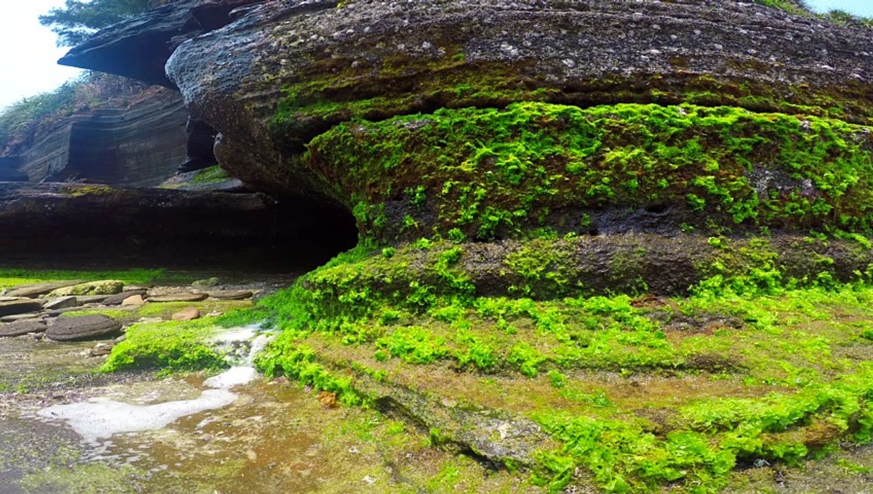shooting seaside reef geological weathered rocks