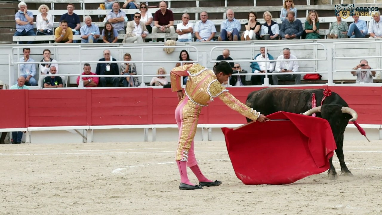 novillada picada Arles 10 septiembre 2021