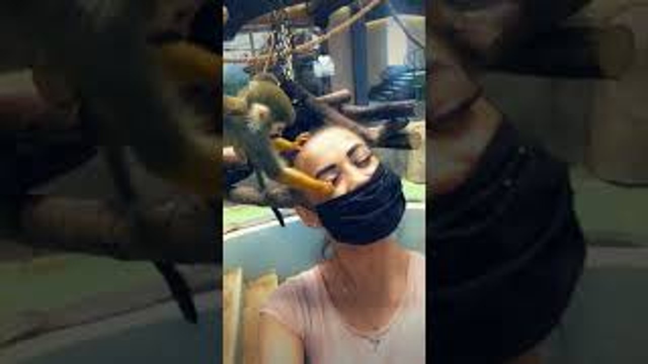 Rambunctious Monkey Snags a Few Lashes