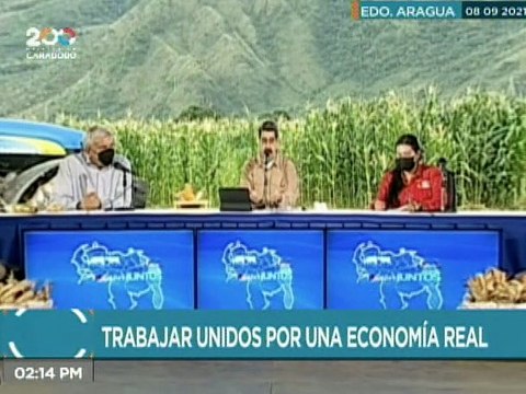 Punto de Encuentro | Capacidad productiva de rubros agrícolas y cereales en el estado Guárico