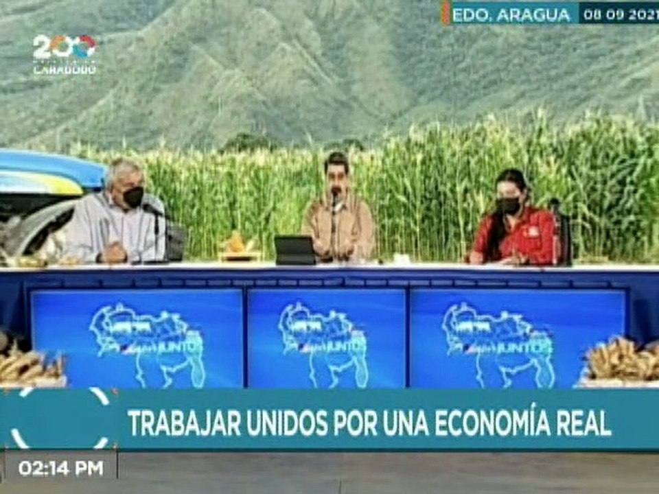 Punto de Encuentro | Capacidad productiva de rubros agrícolas y cereales en el estado Guárico