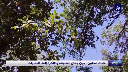 غابات عجلون.. بين جمال الطبيعة وظاهرة إلقاء النفايات