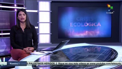 Tormenta tropical Olaf causa daños en varios estados de México