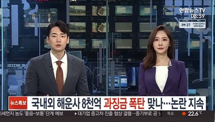 국내외 해운사 8천억 '과징금 폭탄' 맞나…논란 지속