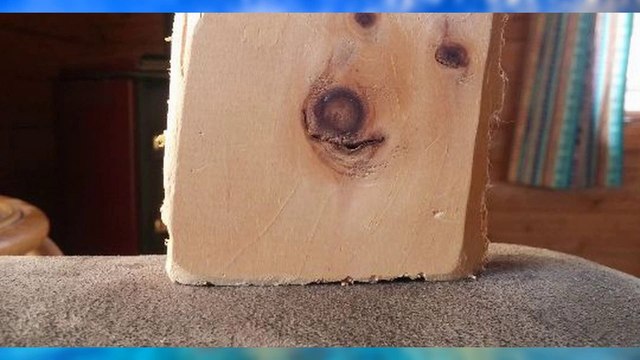 Que es la Pareidolia? ¿Por qué vemos caras y cosas que no existen?