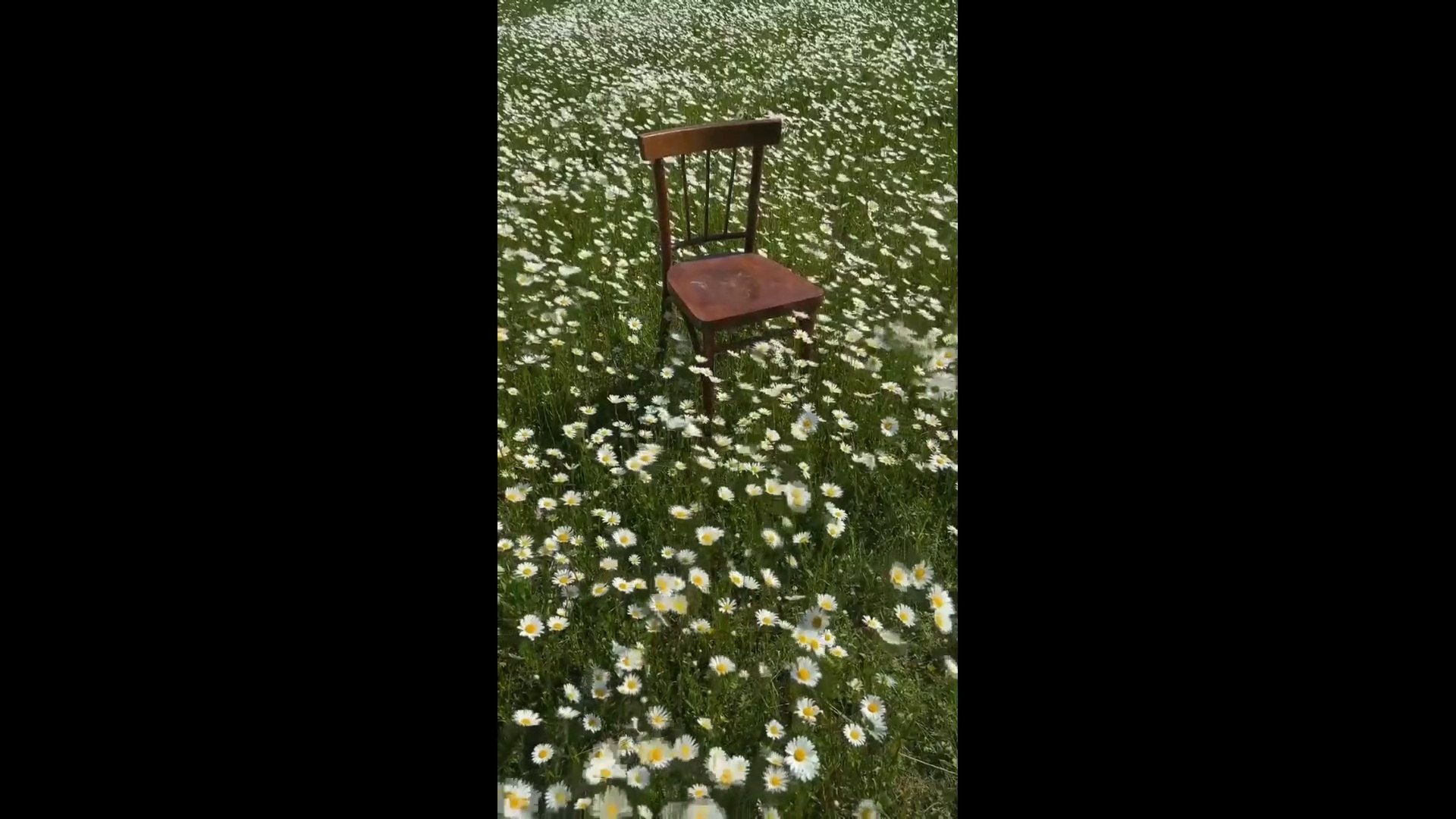 Calming Music, Relaxing Music, Stress Relief Music