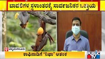 ಚಿಕ್ಕಮಗಳೂರು ಜಿಲ್ಲೆಯ ಹಲವೆಡೆ ಬಾವಲಿಗಳು ಪ್ರತ್ಯಕ್ಷ | Nipha Virus | Chikkamagaluru | Bats