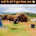 हाथी के बारे में कुछ रोचक तथ्य जो आप नहीं जानते