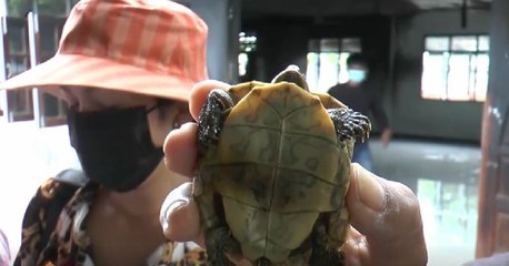 คู่ข่าวเสาร์-อาทิตย์ (ช่วงที่ 2) วันเสาร์ที่ 11 กันยายน 2564