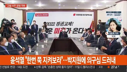尹측 "박지원 게이트" 역공…與 "국면전환 물타기"