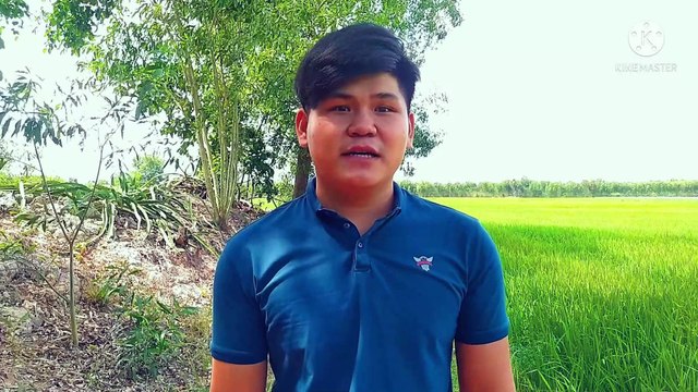 Gà nướng sa tế siêu cay siêu ngon - Grilled chicken satay super spicy super delicious