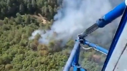 Balıkesir’de orman yangını