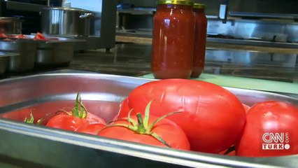Mevsimlik domatesler nasıl salçaya dönüşüyor?
