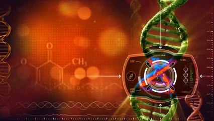 You are what you eat -  a way to align the chakras