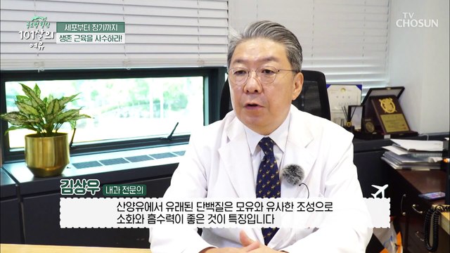 우유보다 단백질 함량 더 높은 『산양유 단백질』 TV CHOSUN 20210911 방송