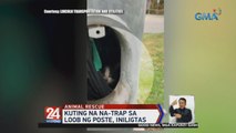 Kuting na na-trap sa loob ng poste, iniligtas | 24 Oras Weekend