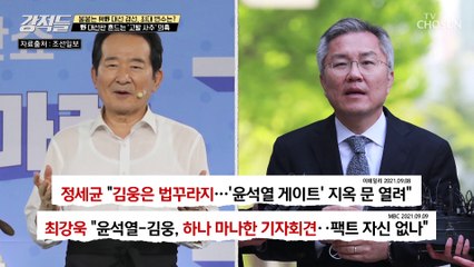전직 검사 강민구가 본 ▸고발 사주◂ 사건의 재구성 TV CHOSUN 210911 방송