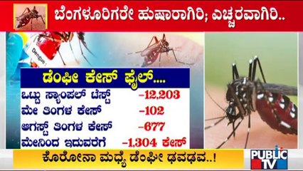 1304 Dengue Cases Have Been Reported In Bengaluru Since May 2021