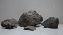 Kır gezisi yapan iki arkadaşın bulduğu taşın meteor olduğu saptandı