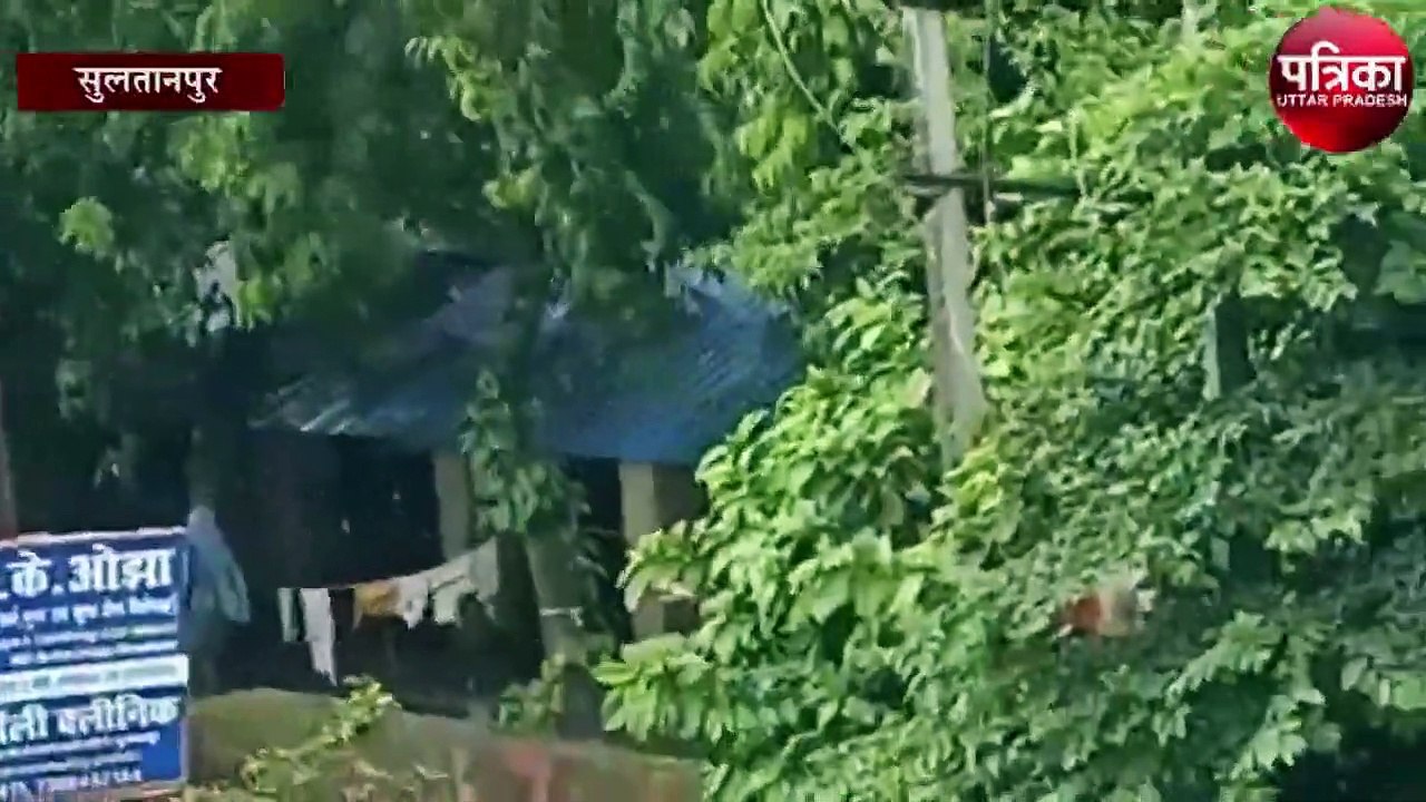 Weather Alert : अगले 48 घंटों में होगी मूसलाधार बारिश
