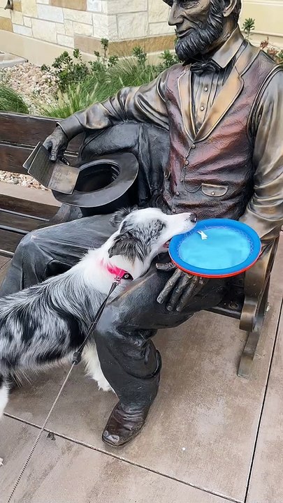 Abe Lincoln Won't Throw Frisbee for Perky Pup
